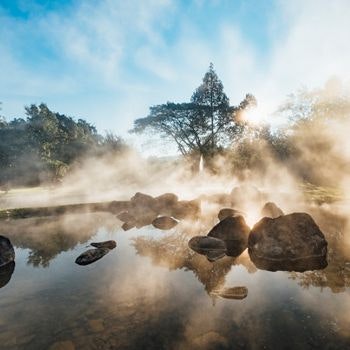 Natural Hot Springs in Rotorua New Zealand