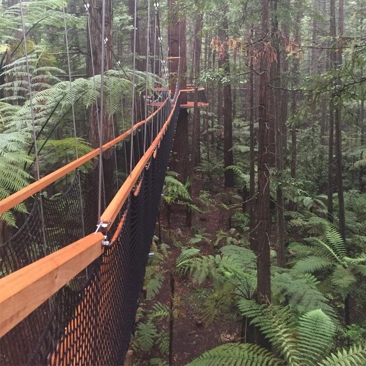 redwood bridge