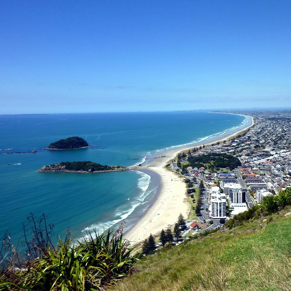 The Insiders Guide: The Bay of Plenty