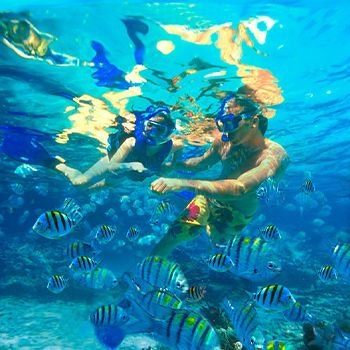 Snorkelling Tours