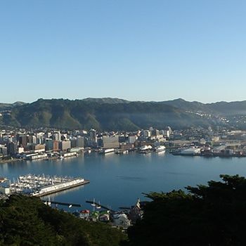 Wellington: A Dream Getaway To-Do List