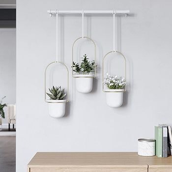 Umbra Triflora Planter hanging on a wall above a shelving unit